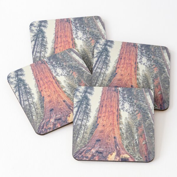 Item preview, Giant Sequoia designed and sold by jvnimages.