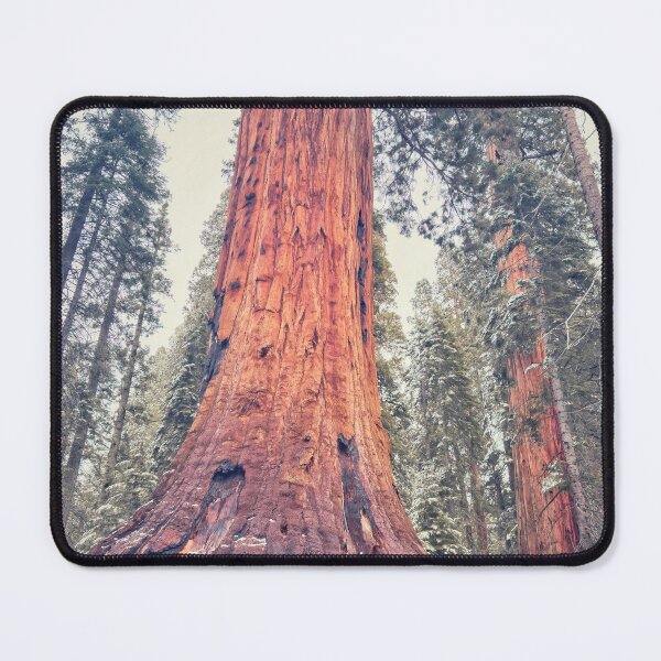 Item preview, Giant Sequoia designed and sold by jvnimages.