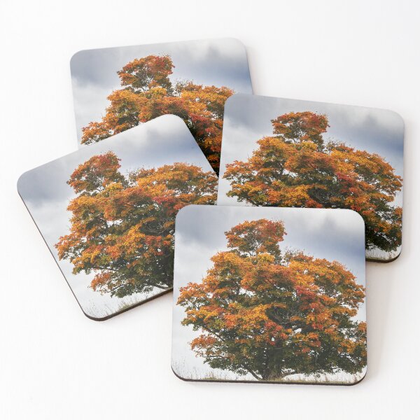 Item preview, Pretty Orange designed and sold by Tim Dusenberry.