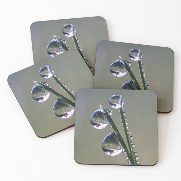 Item preview, dewdrops designed and sold by pejuphotography.