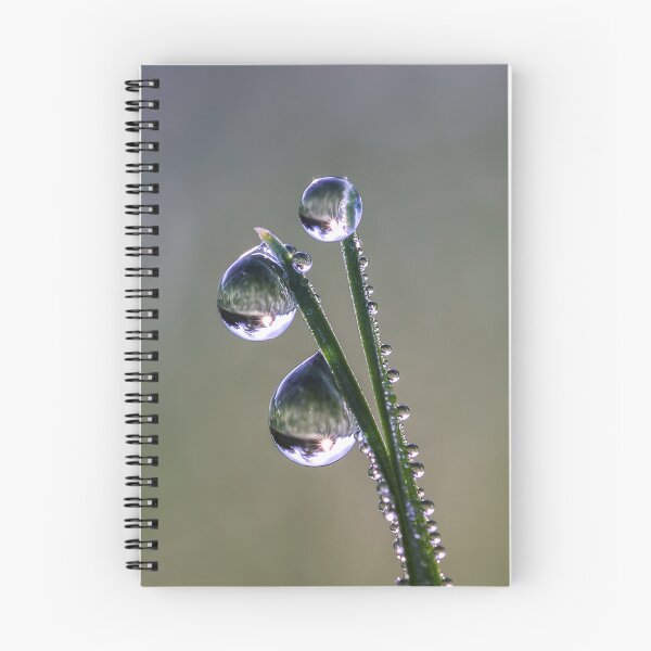 Item preview, dewdrops designed and sold by pejuphotography.
