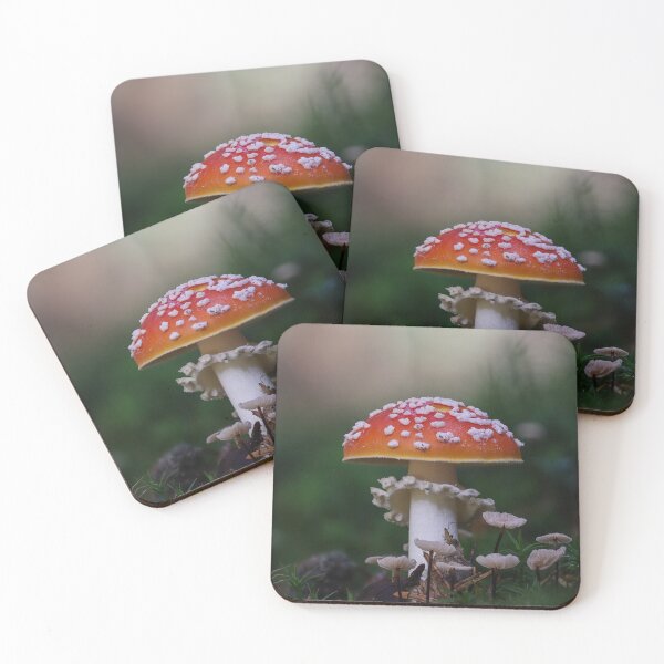 Item preview, lucky guy designed and sold by pejuphotography.