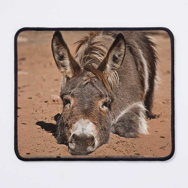 Item preview, Tired Donkey designed and sold by Palatinasart.