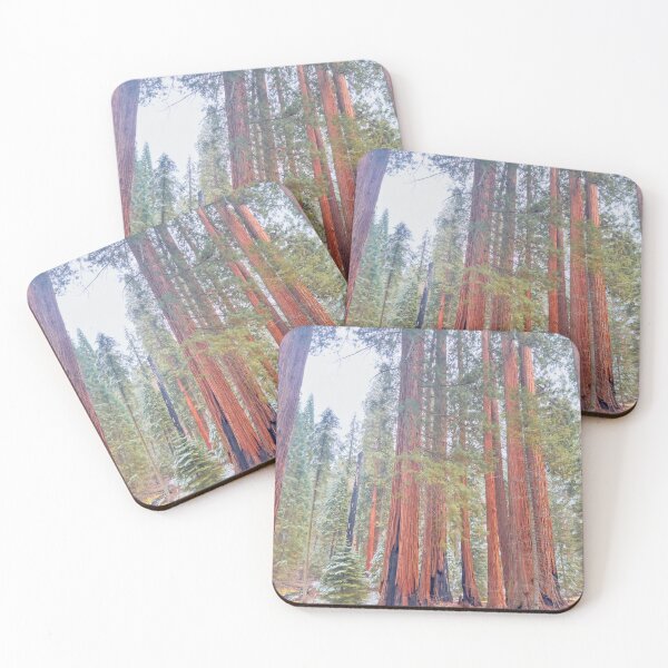 Item preview, Giants Forest designed and sold by jvnimages.