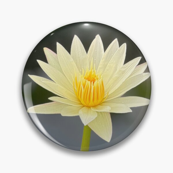 Item preview, Yellow Water Lily designed and sold by ColourfulNomad.