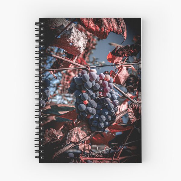 Item preview, Ripe purple autumn grapes designed and sold by Luka Šper.