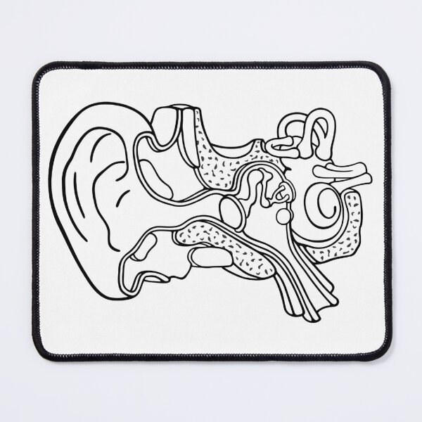 Item preview, Line Drawing of Inner Ear Anatomy Illustration designed and sold by taylorcustom.