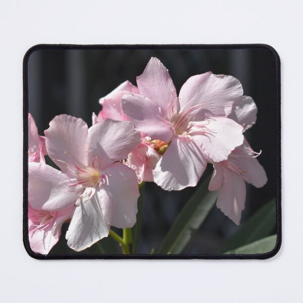 Item preview, Pink Oleander Flowers designed and sold by MangoSeeds.