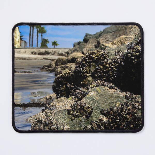 Item preview, Mussel City! designed and sold by heatherfriedman.
