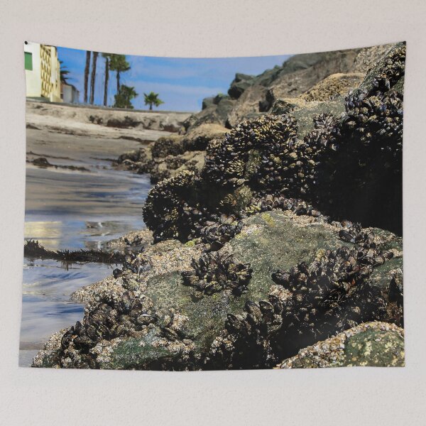 Item preview, Mussel City! designed and sold by heatherfriedman.