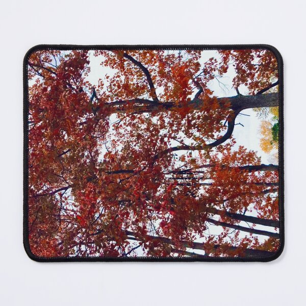 Item preview, Autumn Trees designed and sold by Amanda1775.