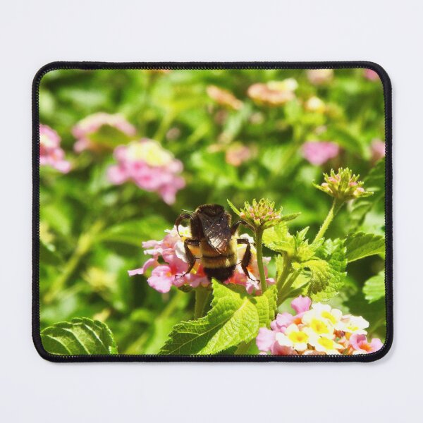 Item preview, Bee Butts designed and sold by UmbreMoon.