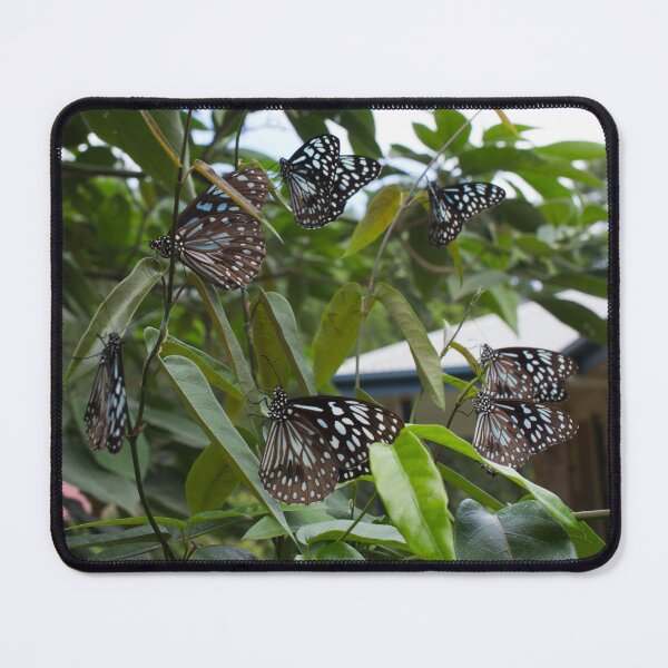 Item preview, Blue Tiger Butterflies designed and sold by Stingray.