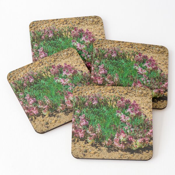 Item preview, Wreath Leschenaultia designed and sold by photograham.