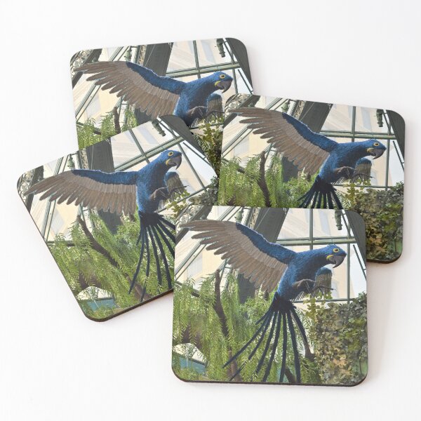 Item preview, Blue Macaw at Bellagio designed and sold by MangoSeeds.