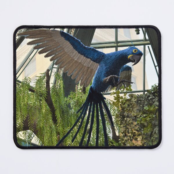 Item preview, Blue Macaw at Bellagio designed and sold by MangoSeeds.