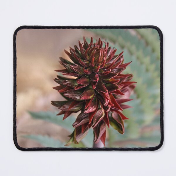 Item preview, Plant From Planet Zorg designed and sold by heatherfriedman.