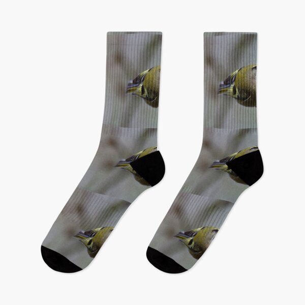 Item preview, Goldcrest  designed and sold by Mothboybrown.