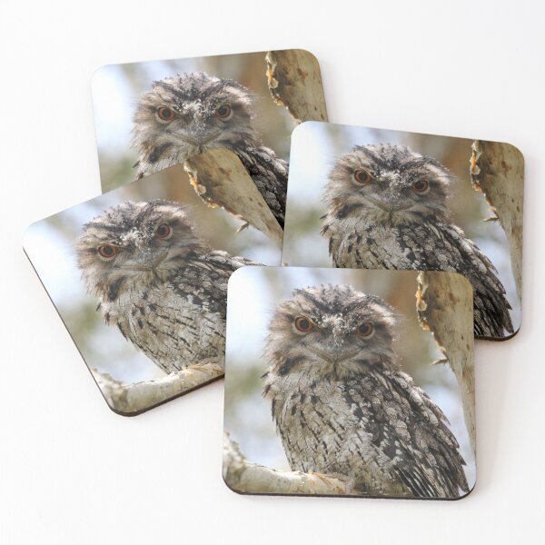 Item preview, Tawny Frogmouth designed and sold by Stingray.