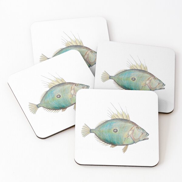 Item preview, "John Dory" | Salt Water Fish designed and sold by LiseHoltArt.