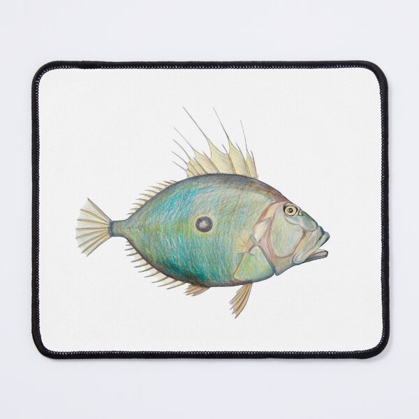 Item preview, "John Dory" | Salt Water Fish designed and sold by LiseHoltArt.