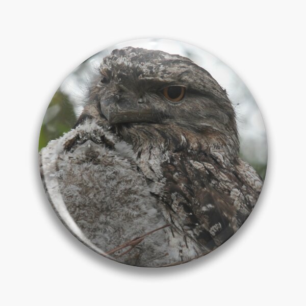 Item preview, Tawny Frogmouth and Chick designed and sold by Stingray.