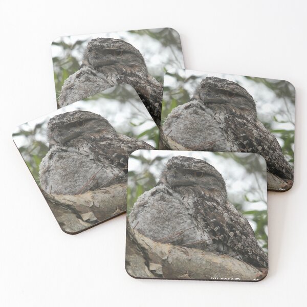 Item preview, Tawny Frogmouth and Chick designed and sold by Stingray.