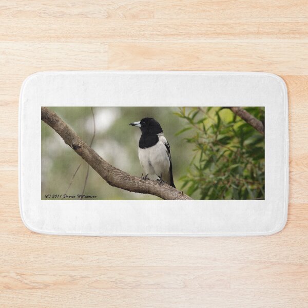 Item preview, Pied Butcherbird designed and sold by Stingray.