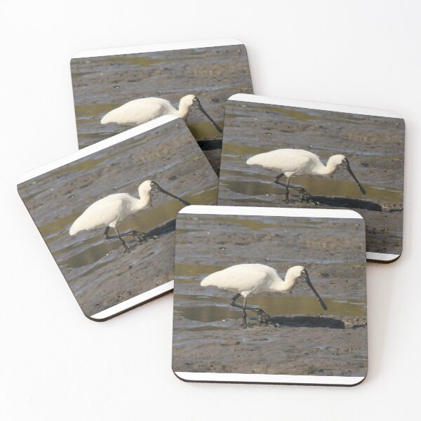 Item preview, Just looking for Lunch designed and sold by Stingray.