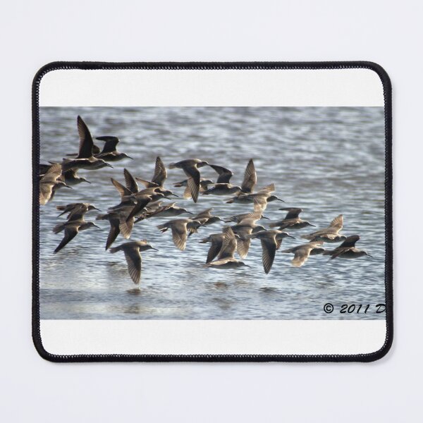Item preview, Flock of Pipers designed and sold by Stingray.