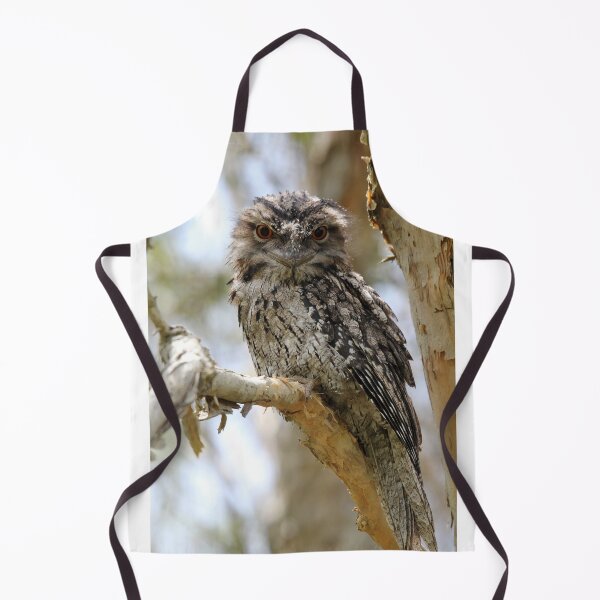 Item preview, Tawny Frogmouth designed and sold by Stingray.