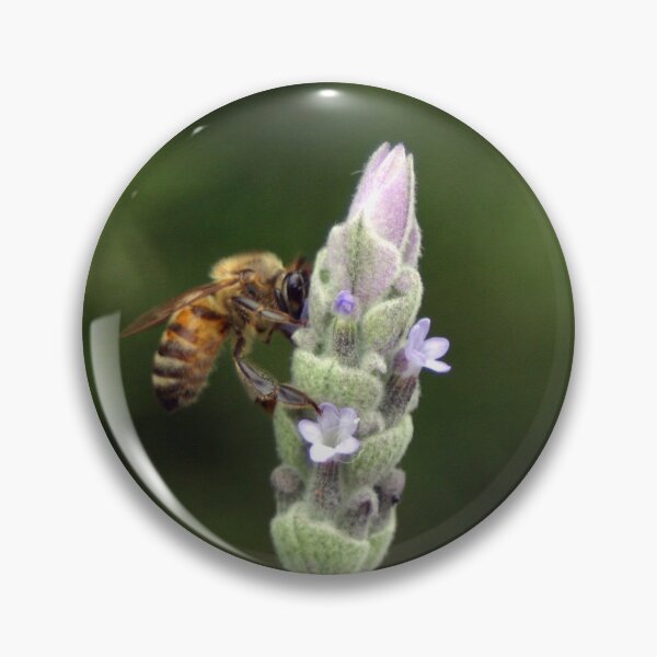 Item preview, Bee on Lavender designed and sold by Stingray.