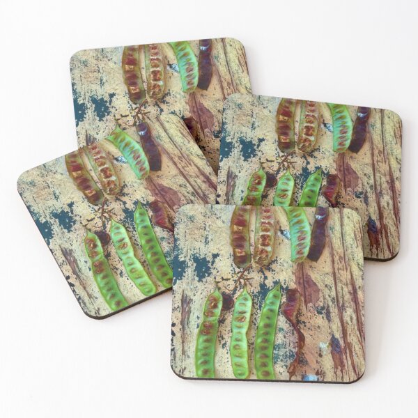 Item preview, Wattle seed pods designed and sold by WildLadyWood.