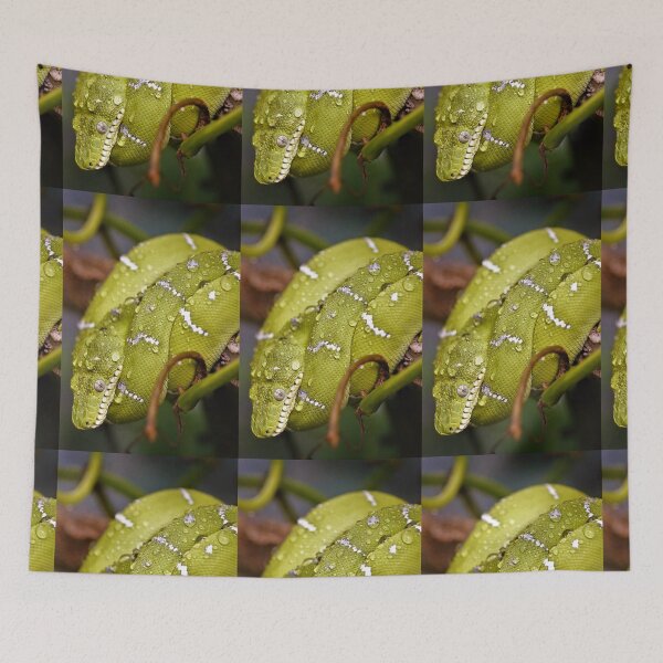Item preview, Green Tree Python  designed and sold by Mothboybrown.