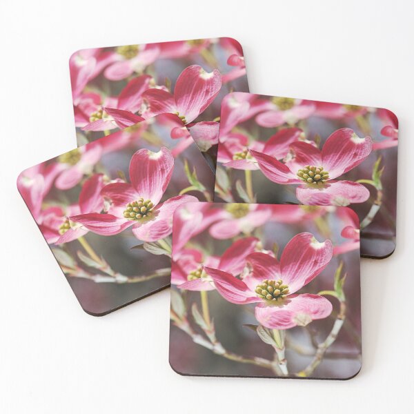 Item preview, Gorgeous Pink Flowering Dogwood designed and sold by Joy Watson - Natural Light Photography .