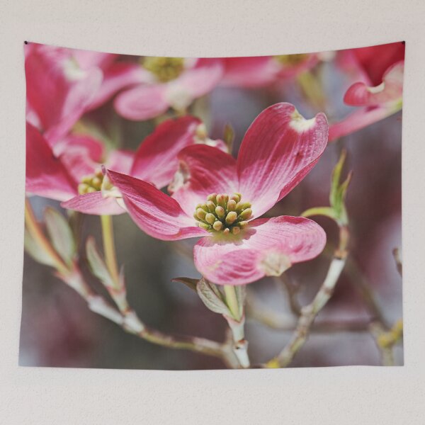 Item preview, Gorgeous Pink Flowering Dogwood designed and sold by Joy Watson - Natural Light Photography .