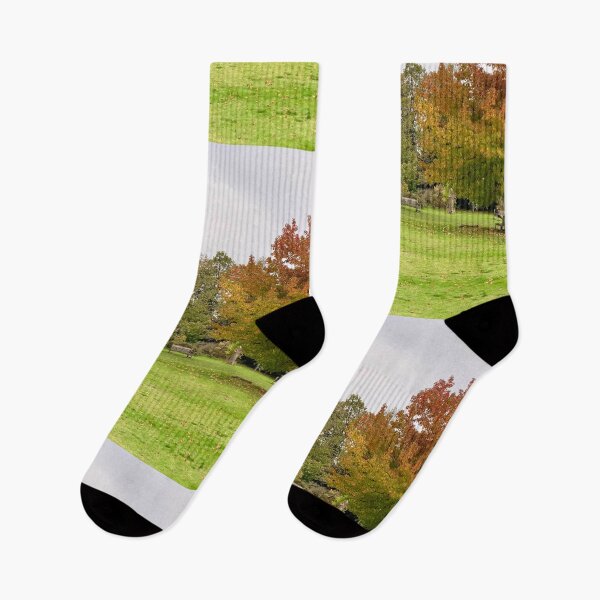 Item preview, Autumn foliage designed and sold by veraD58.