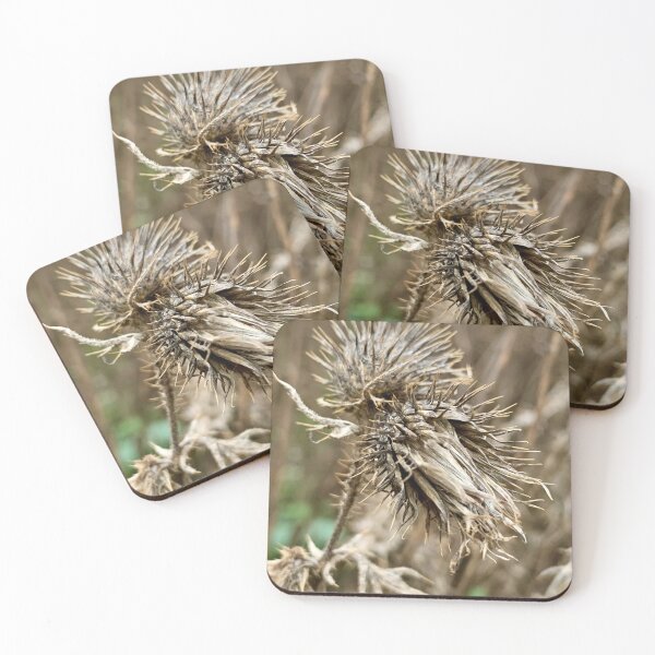 Item preview, Eternal Blooms designed and sold by veraD58.