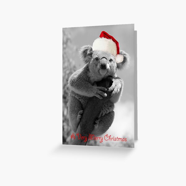 Item preview, A koala merry Christmas designed and sold by Gerry Pearce.