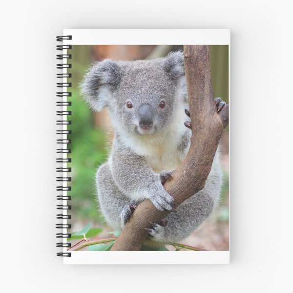 Item preview, The koala - Australia's cutest designed and sold by Gerry Pearce.