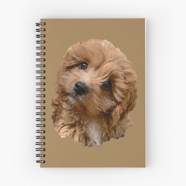 Item preview, Cute Cavoodle Portrait designed and sold by Nicola Morgan.