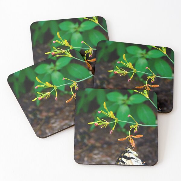 Item preview, Butterfly designed and sold by MercerImages.
