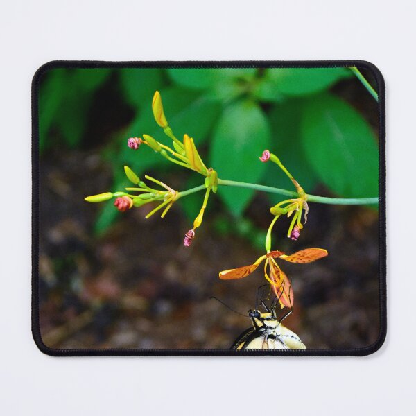 Item preview, Butterfly designed and sold by MercerImages.