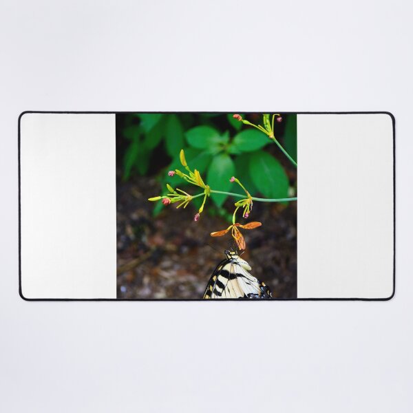 Item preview, Butterfly designed and sold by MercerImages.