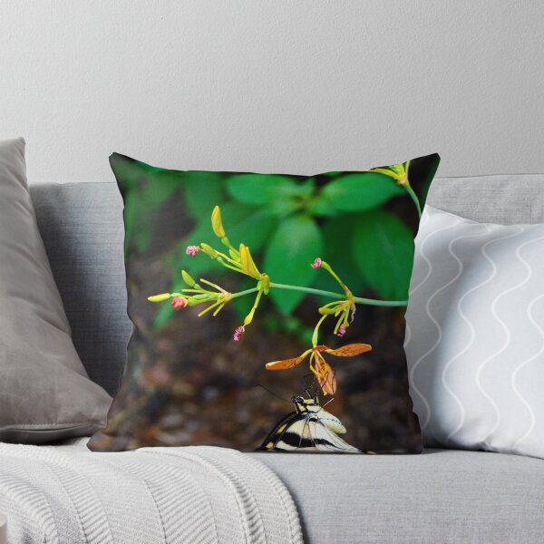 Item preview, Butterfly designed and sold by MercerImages.