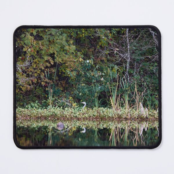 Item preview, Hiding. Grey heron designed and sold by Jouko Lehto Photography.