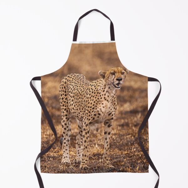 Item preview, Cheetah surveying the scorched Masai Mara grasslands for antelope designed and sold by AndyMorkot.