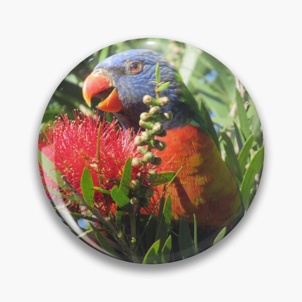 Item preview, Rainbow Lorikeet strikes a pose designed and sold by Joannaholman.