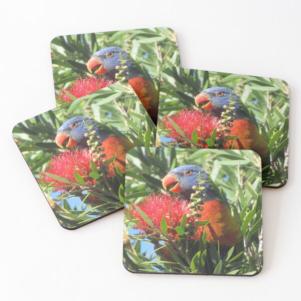 Item preview, Rainbow Lorikeet strikes a pose designed and sold by Joannaholman.