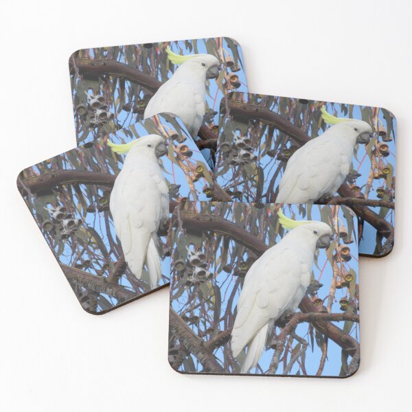 Item preview, Cockatoo  designed and sold by Joannaholman.